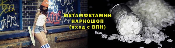 прущие грибы Заволжье