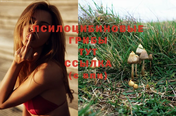 бошки Ельня