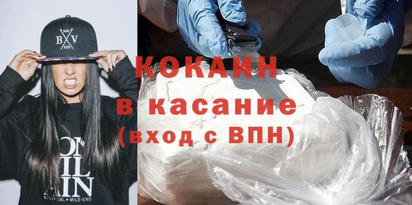 прущие грибы Заволжье