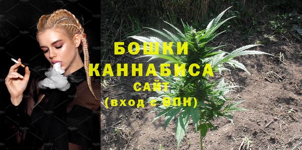 прущие грибы Заволжье