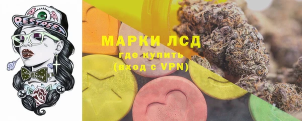 прущие грибы Заволжье