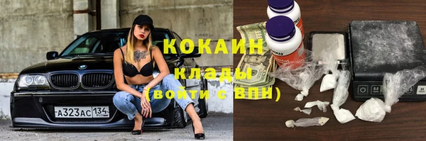 прущие грибы Заволжье