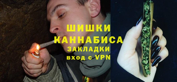 прущие грибы Заволжье