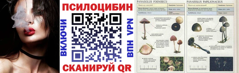 Псилоцибиновые грибы GOLDEN TEACHER  Купить  Дагестанские Огни 
